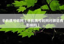 手机携号转网（手机携号转网对微信有影响吗）