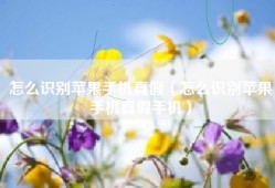 怎么识别苹果手机真假（怎么识别苹果手机真假手机）