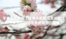 苹果手机原图（苹果手机原图发送照片对方接到的图片不是原图怎么回事）