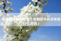 电脑给手机充电慢（电脑给手机充电慢什么原因）