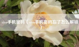 vivo手机密码（vivo手机密码忘了怎么解锁）