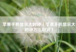 苹果手机显示大时钟（苹果手机显示大时钟怎么取消）