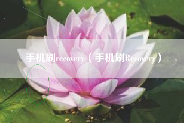 手机刷recovery（手机刷Recovery）