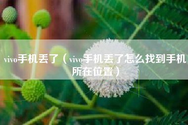 vivo手机丢了（vivo手机丢了怎么找到手机所在位置）