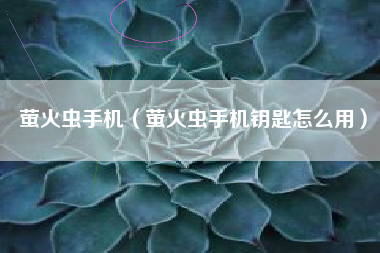 萤火虫手机（萤火虫手机钥匙怎么用）