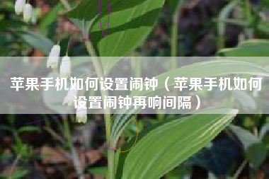 苹果手机如何设置闹钟（苹果手机如何设置闹钟再响间隔）