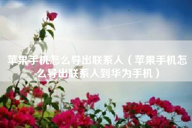 苹果手机怎么导出联系人（苹果手机怎么导出联系人到华为手机）