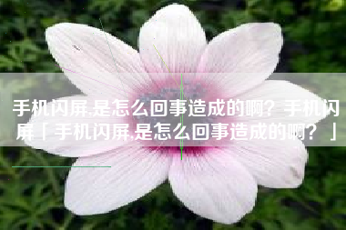 手机闪屏,是怎么回事造成的啊？手机闪屏「手机闪屏,是怎么回事造成的啊？」